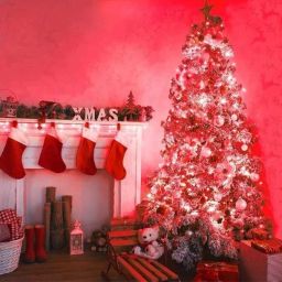 40 LEDs 11 m Red Steady String Rice Lights-image-66