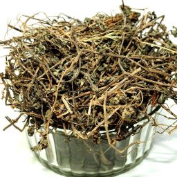 Bhringraj,bhangro,bhringraj leaves,bhringraj patta Seed-image-69