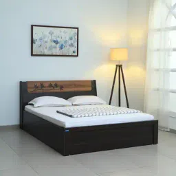spacewood Kosmo Maple Queen Size Bed in Fumed Oak Melamine Finish with Hydraulic Storage-picture-6