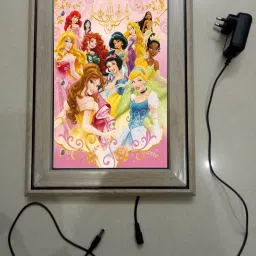 , CINDERELLA MODAL NO-13 , 15.5 inch LED PHOTO FRAME-picture-17