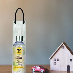 Iris Citric Tango Car Spray-17