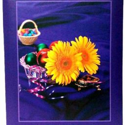 Memo Photo Album with 0.6mm Thick Extra Clear PVC Film, 100 Pocket, (Photo Size Supported: 5'x7') Album-image-1