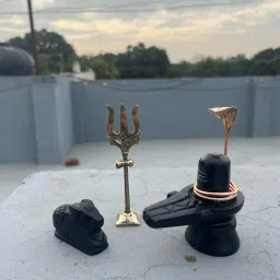 Shiv Pooja Set with Stand Trishul and Black Stone Nandi shivling, Copper naag Decorative Showpiece - 7 cm-19