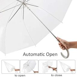 Transparent Umbrella/Chhata/Chhatri for Men,Women & Kids Auto Open/Close Umbrella-17