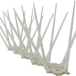 Bird Spike-4