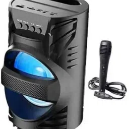 HIFY Bluetooth wireless rechargeable speaker with mic for singing and recording 10 W Bluetooth PA Speaker-19