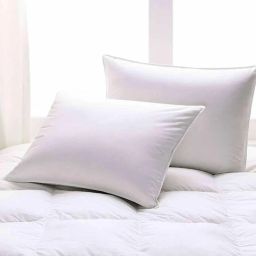 Cotton Solid Sleeping Pillow Pack of 2-image-9