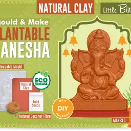 DIY Mould & Make Plantable Ganesha Kit 1 Box-23