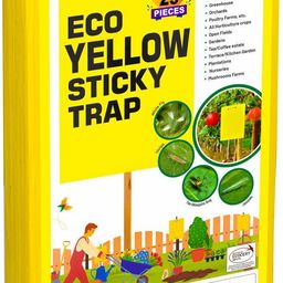 green revolution ECO Yellow Sticky Trap for Garden & Farm, To Control Aphids, Whiteflies, etc.-picture-42