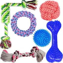 Interactive Dog Playing Toys For Small To Medium Breed, 6 In 1 Combo Gift Pack Cotton, Polyester, Rubber Chew Toy, Bone, Training Aid, Tug Toy For Dog-image-75