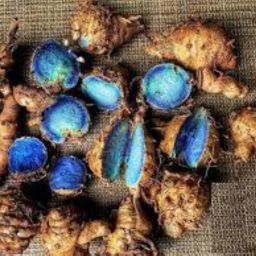 1 kg ,Black Turmeric, Kali Haldi,Curcuma Caesia- Finger Type Bulbs,Rhizomes for Propagation. Seed-picture-16