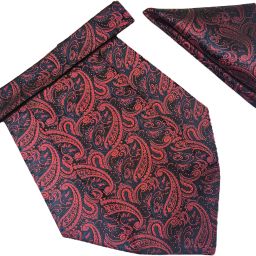VOICI Men's Paisley Red & Blue Color Pocket Square Cravat-image-2