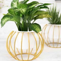 Gold Metal Round Base Table Planter Stand With White Pot (Set of 2) By Homesake-picture-16