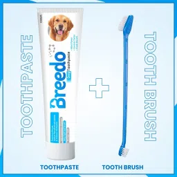 breedo Cool Mint Toothpaste and 1Pcs Dog Toothbrush Combo for Dogs - 100g | Pet Toothpaste image 2