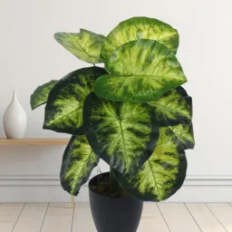 Arick Decor 21 Inch Artificial Real Touch Dieffenbachia With Black Pot-picture-8