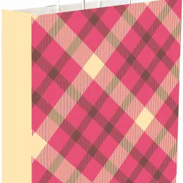 Printed Party Bag-17