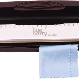 R-2405 Tremolo Harmonica 24 Holes 48 Tones with C Key Mouth Organ with Cover-29