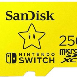 SanDisk Nintendo 256 GB MicroSDHC Class 10 100 MB/sMemory Card-12