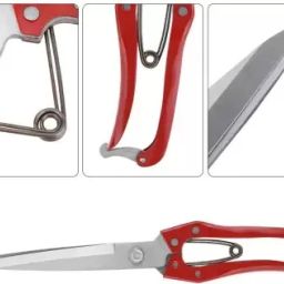 Scissors Sheep hair cutting machine Steel Pet Hair CUTTING KATAR Steel, Red Pet Hair Trimmer-image-18