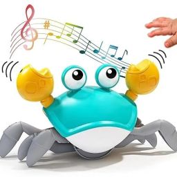 CRAB-image-16