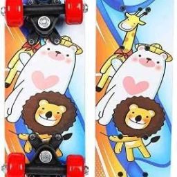 SKATEBOARD LION KING 6 inch x 5 inch Skateboard-picture-25