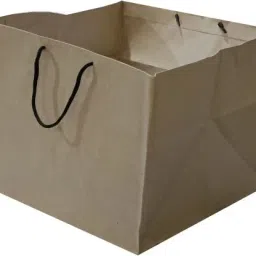 Paper Bag Paper 1KG PAPER BAGS WITH HANDLE - BROWN (PACK OF 10 PCS) Packaging Box-image-8