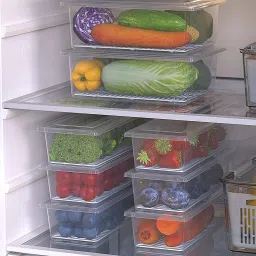 Plastic Fridge Container- 1500 ml-15