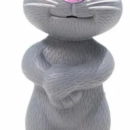 Talking Tom Cat Toy for Kids | Voice Repeating | Touch Activated 167-image-77