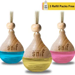 Plum Rose, Lemon Grass, Blue Water Car Freshener Diffuser-27