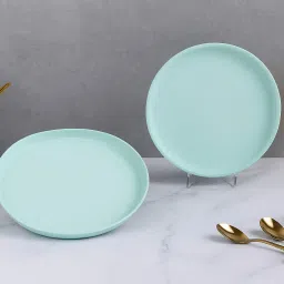 Glass Plain Plate Use For Serving And Multi Use Tray-image-38
