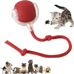 360° Smart Automatic Chewie Rolling Ball, Interactive Rolling Dog & Cat Ball Plastic, Silicone Chew Toy For Dog & Cat-picture-3