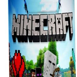 Minecraft Bottle|Minecraft Printed Bottle|Minecraft Sipper|Cartoon Bottle -146 600 ml Water Bottle-image-7