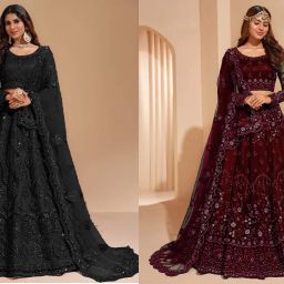 Embroidered, Embellished Semi Stitched Lehenga Choli-image-59