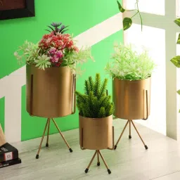 amaya decors Votive Shape Planter Set of 3-picture-14