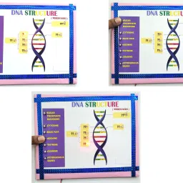 ontex electronics DNA Sequencing Structure Educational biology chemistry Working Project Model Educational Electronic Hobby Kit image 3