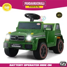 S- Wagon EV , with music player , weight cap : 50 kgs, heaviest battery-image-80
