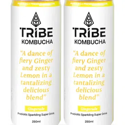 tribe Kombucha Naturally Sparkling Herbal Probiotic Super Drink|Antioxidant&Hydration Gingerade Drink-picture-39