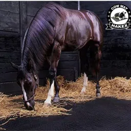 Cow mat Premium Black Color Cow Pet Mat Cow Pet Mat Cow, Hamster, Guinea Pig Pet Mat-image-73