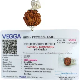 4 Mukhi Rudraksha Nepal Pendant With Lab Certificate, 100% Original Four Face Ruthratcham Bead Size 17-20 mm German Silver Color Brown for Men & Women Wood Pendant-picture-4