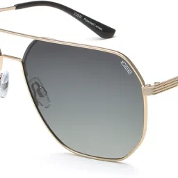 Gradient Retro Square Sunglasses (60)-image-19