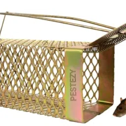 pestezy Mouse/Rat Trap cage Chuha Pakadne ka Pinjara Cross Design Heavy Quality (small) Live Trap image 5