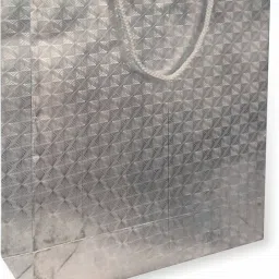 Printed Party Bag-image-33