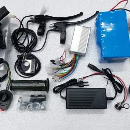 E Bike Hub Motor 36V 250W with battery and charger-6