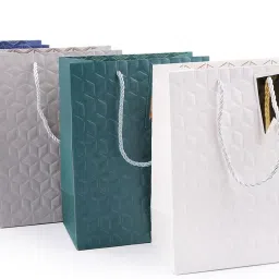 Printed Party Bag-13
