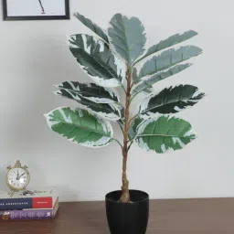 arick decor 2.4Ft Artificial Banana With Black Pot-picture-21