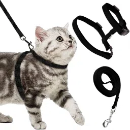 Black Cat Harness Full Body With Leash Set - For Walking | Escape Proof Cat Buckle Harness-picture-37