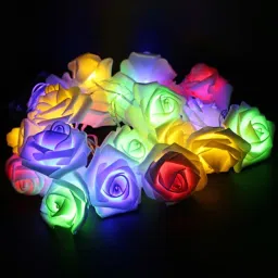 20 LEDs 4 m Multicolor Steady Fruit Rice Lights-picture-1