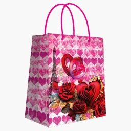 Printed Party Bag-image-50