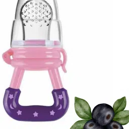 SST Sales Baby Food And Fruit Nibbler & Pacifier Teether BPA Free Nibbler NH323 Feeder-picture-2