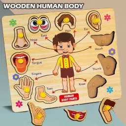 Wooden Human Body Parts Puzzle Games and Learning Educational Board with Knobs-image-27